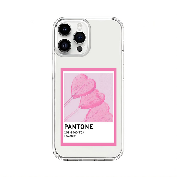 Pantone Sticker Case